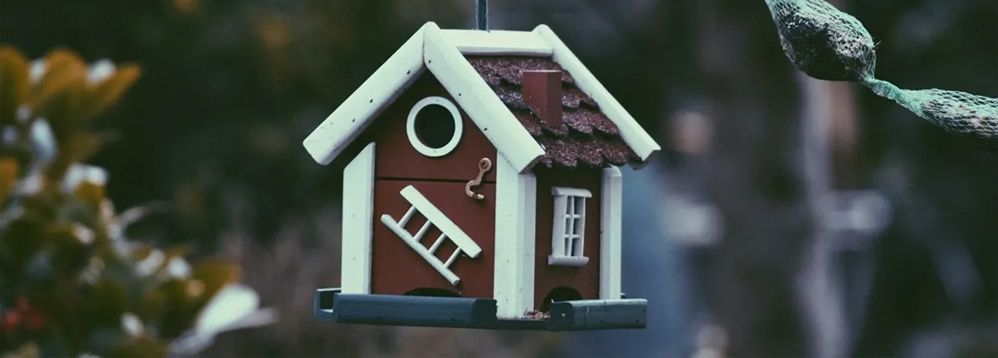 Razones para comprar una casa.jpg